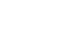 gemini ai